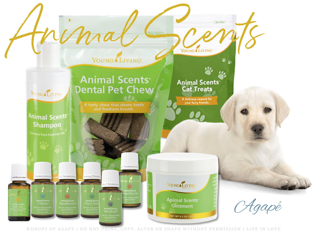 Animal Scents for humans
