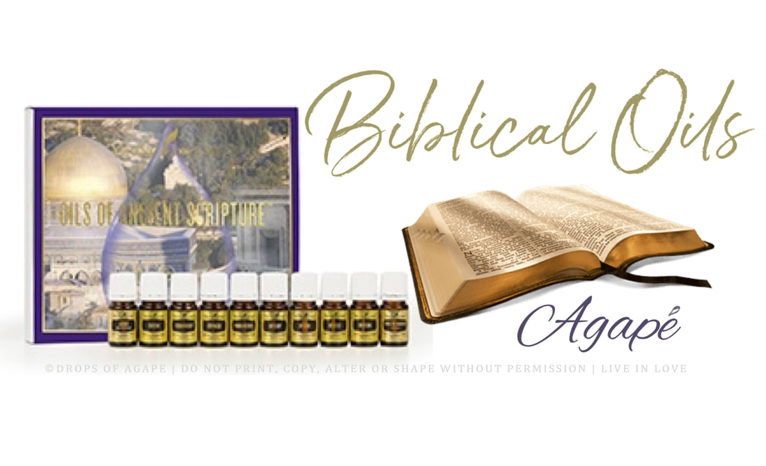 Essential oils in the bible, bible references to essential oils